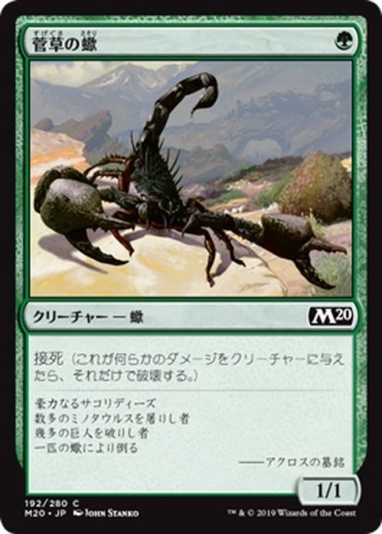 画像1: 【JPN】菅草の蠍/Sedge Scorpion[MTG_M20_192C] (1)