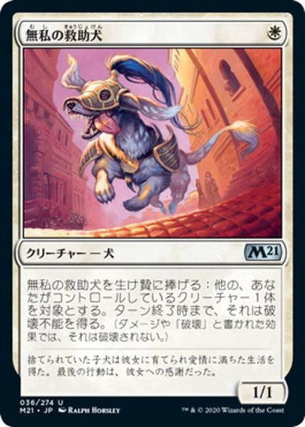 画像1: 【JPN】無私の救助犬/Selfless Savior[MTG_M21_036U] (1)