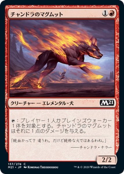 画像1: 【JPN】チャンドラのマグムット/Chandra's Magmutt[MTG_M21_137C] (1)