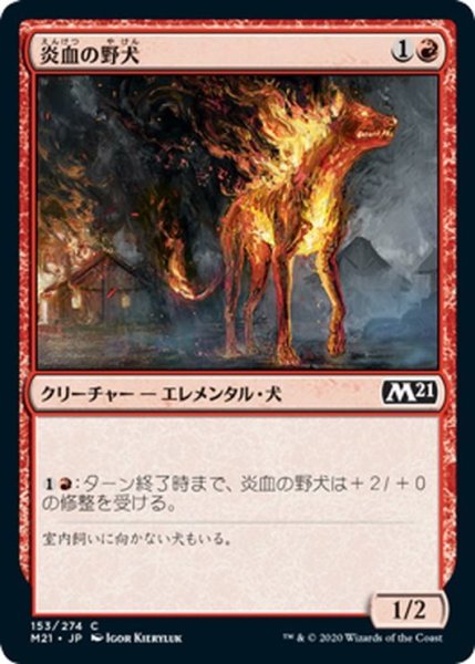 画像1: 【JPN】炎血の野犬/Igneous Cur[MTG_M21_153C] (1)