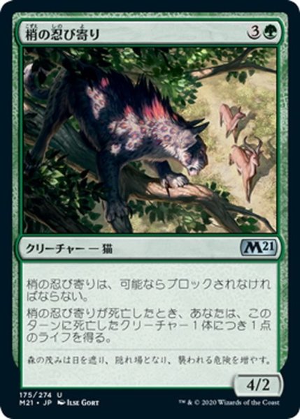 画像1: 【JPN】梢の忍び寄り/Canopy Stalker[MTG_M21_175U] (1)