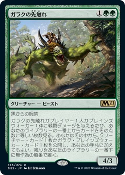 画像1: 【JPN】ガラクの先触れ/Garruk's Harbinger[MTG_M21_185R] (1)