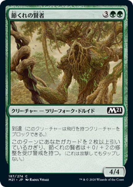 画像1: 【JPN】節くれの賢者/Gnarled Sage[MTG_M21_187C] (1)