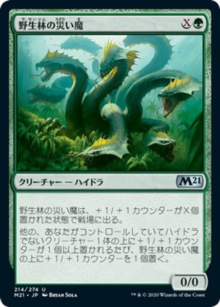 画像1: 【JPN】野生林の災い魔/Wildwood Scourge[MTG_M21_214U] (1)