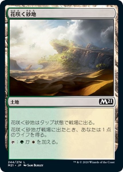 画像1: 【JPN】花咲く砂地/Blossoming Sands[MTG_M21_244C] (1)