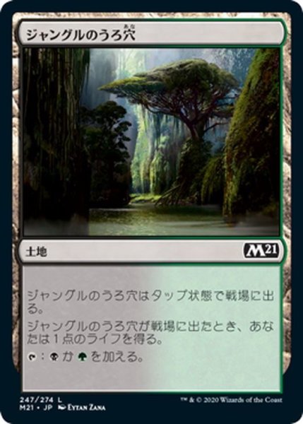 画像1: 【JPN】ジャングルのうろ穴/Jungle Hollow[MTG_M21_247C] (1)