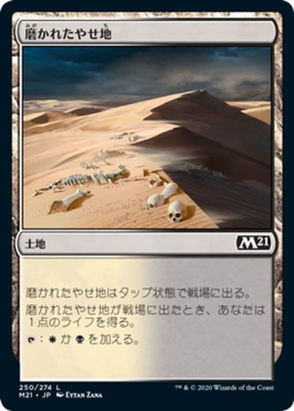 画像1: 【JPN】磨かれたやせ地/Scoured Barrens[MTG_M21_250C] (1)