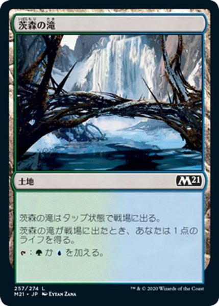 画像1: 【JPN】茨森の滝/Thornwood Falls[MTG_M21_257C] (1)