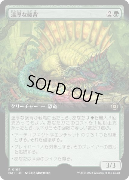 画像1: 【JPN】温厚な襞背/Tranquil Frillback[MTG_MAT_0164R] (1)