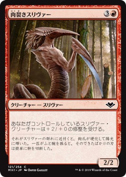 画像1: 【JPN】肉裂きスリヴァー/Cleaving Sliver[MTG_MH1_121C] (1)