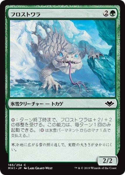 画像1: 【JPN】フロストワラ/Frostwalla[MTG_MH1_165C] (1)