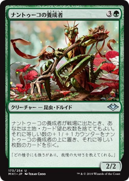 画像1: 【JPN】ナントゥーコの養成者/Nantuko Cultivator[MTG_MH1_173U] (1)