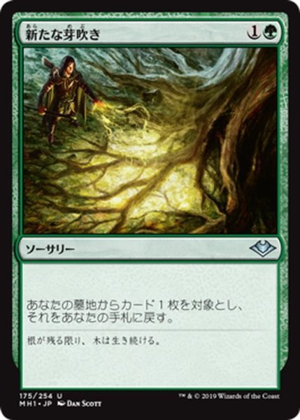 画像1: 【JPN】新たな芽吹き/Regrowth[MTG_MH1_175U] (1)