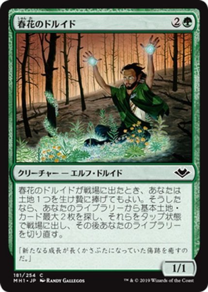 画像1: 【JPN】春花のドルイド/Springbloom Druid[MTG_MH1_181C] (1)