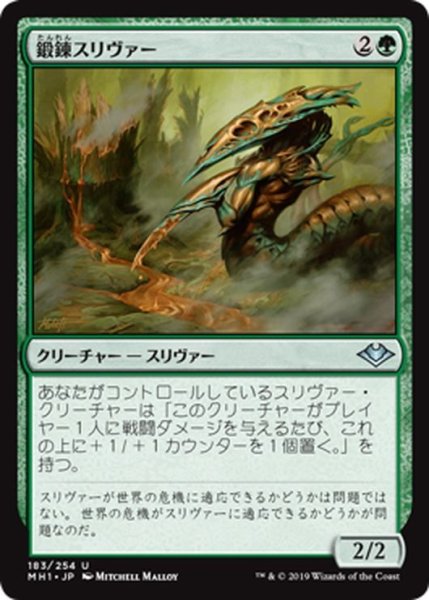 画像1: 【JPN】鍛錬スリヴァー/Tempered Sliver[MTG_MH1_183U] (1)