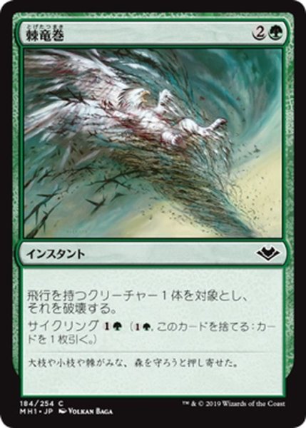 画像1: 【JPN】棘竜巻/Thornado[MTG_MH1_184C] (1)