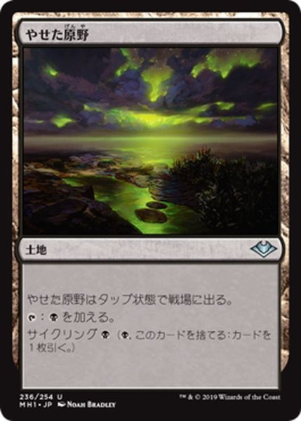 画像1: 【JPN】やせた原野/Barren Moor[MTG_MH1_236U] (1)