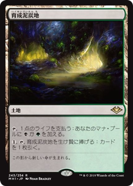 画像1: 【JPN】育成泥炭地/Nurturing Peatland[MTG_MH1_243R] (1)