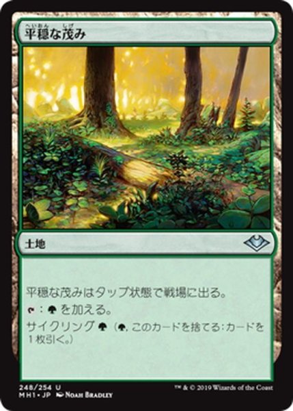 画像1: 【JPN】平穏な茂み/Tranquil Thicket[MTG_MH1_248U] (1)