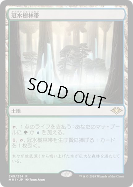 画像1: 【JPN】冠水樹林帯/Waterlogged Grove[MTG_MH1_249R] (1)