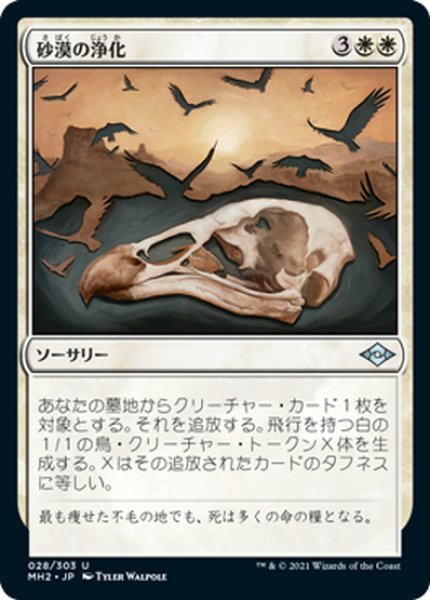 画像1: 【JPN】砂漠の浄化/Scour the Desert[MTG_MH2_028U] (1)