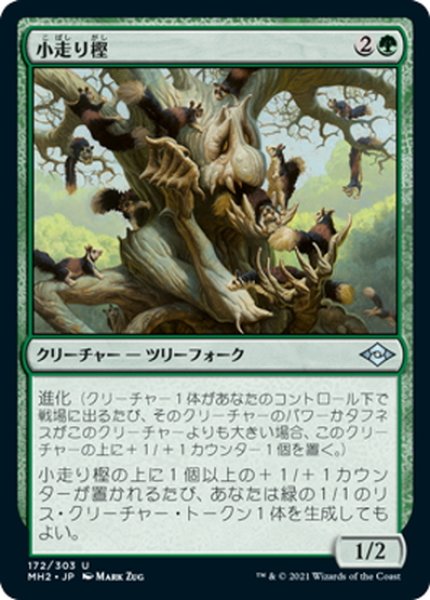 画像1: 【JPN】小走り樫/Scurry Oak[MTG_MH2_172U] (1)