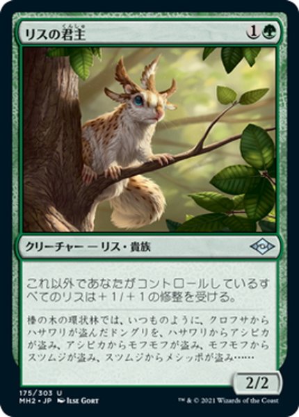 画像1: 【JPN】★Foil★リスの君主/Squirrel Sovereign[MTG_MH2_175U] (1)