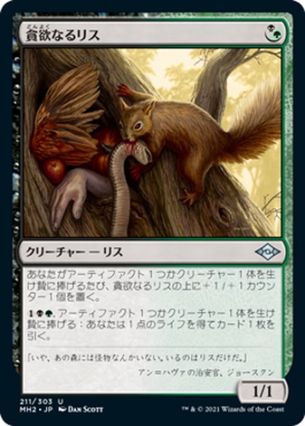 画像1: 【JPN】貪欲なるリス/Ravenous Squirrel[MTG_MH2_211U] (1)