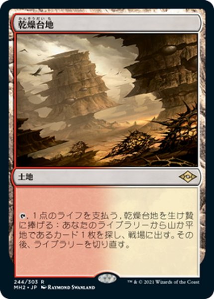 画像1: 【JPN】乾燥台地/Arid Mesa[MTG_MH2_244R] (1)