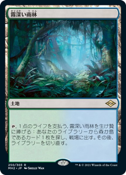 画像1: 【JPN】霧深い雨林/Misty Rainforest[MTG_MH2_250R] (1)