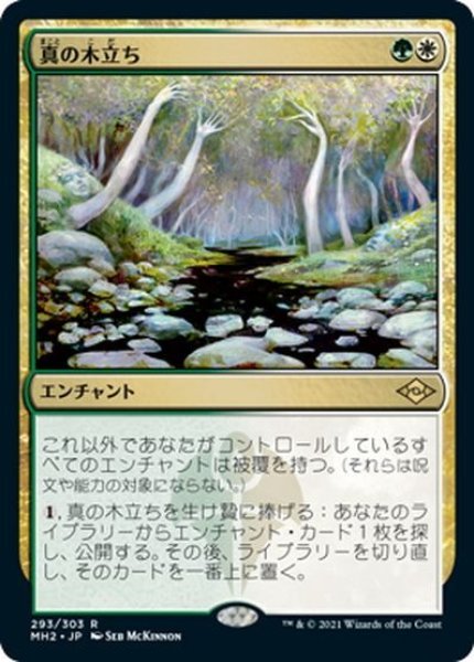 画像1: 【JPN】真の木立ち/Sterling Grove[MTG_MH2_293R] (1)