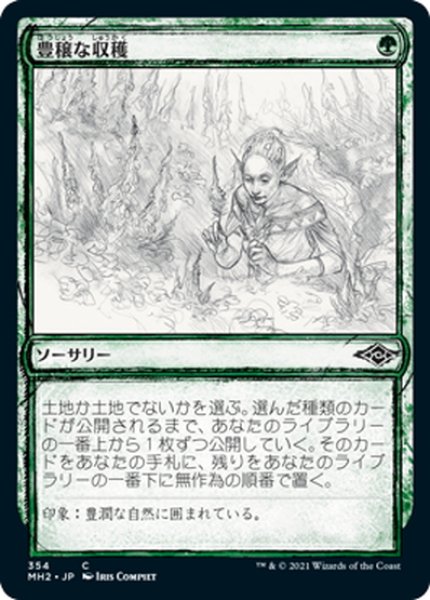 画像1: 【JPN】豊穣な収穫/Abundant Harvest[MTG_MH2_354C] (1)