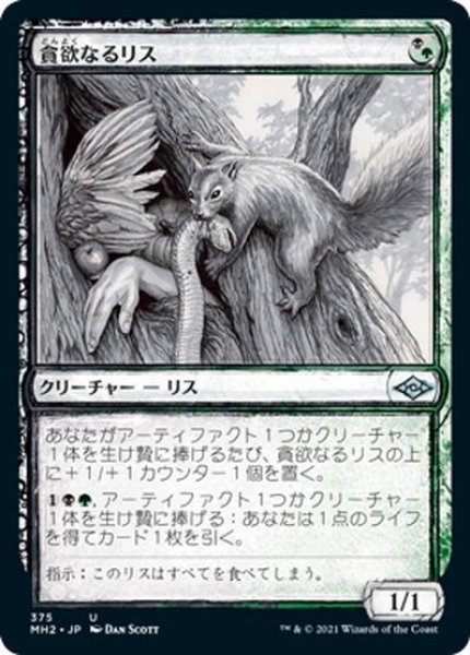 画像1: 【JPN】貪欲なるリス/Ravenous Squirrel[MTG_MH2_375U] (1)