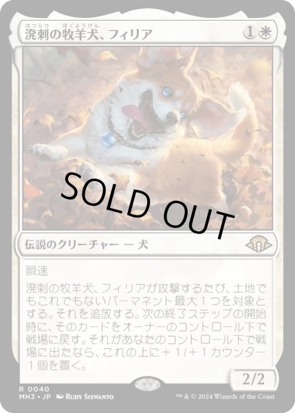 画像1: 【JPN】溌剌の牧羊犬、フィリア/Phelia, Exuberant Shepherd[MTG_MH3_0040_R] (1)