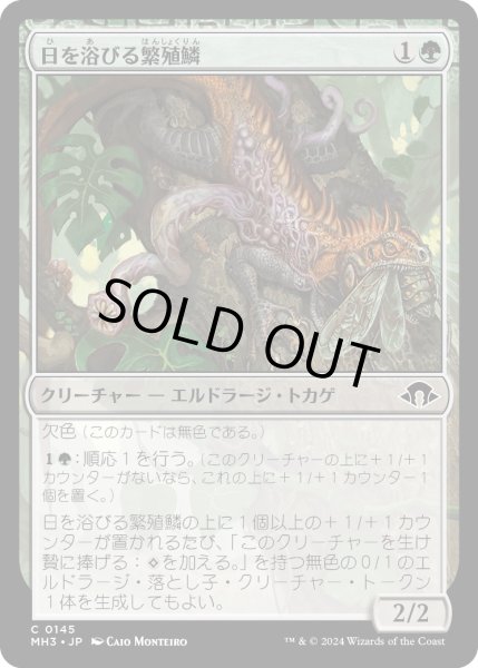 画像1: 【JPN】日を浴びる繁殖鱗/Basking Broodscale[MTG_MH3_0145_C] (1)