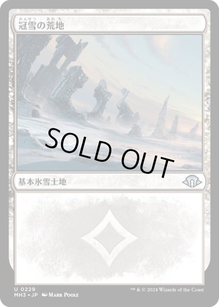 画像1: 【JPN】冠雪の荒地/Snow-Covered Wastes[MTG_MH3_0229_U] (1)