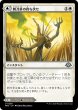 画像1: 【JPN】剃刀草の待ち伏せ//剃刀草の原野/Razorgrass Ambush//Razorgrass Field[MTG_MH3_0238_U] (1)