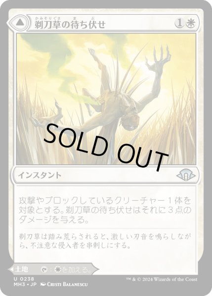 画像1: 【JPN】剃刀草の待ち伏せ//剃刀草の原野/Razorgrass Ambush//Razorgrass Field[MTG_MH3_0238_U] (1)