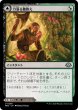 画像1: 【JPN】力漲る腹拵え//原生樹林帯/Revitalizing Repast//Old-Growth Grove[MTG_MH3_0256_U] (1)