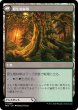 画像2: 【JPN】力漲る腹拵え//原生樹林帯/Revitalizing Repast//Old-Growth Grove[MTG_MH3_0256_U] (2)