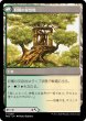 画像2: 【JPN】収穫の力//収穫の安息地/Strength of the Harvest//Haven of the Harvest[MTG_MH3_0258_U] (2)