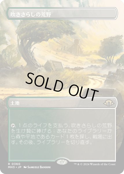 画像1: 【JPN】吹きさらしの荒野/Windswept Heath[MTG_MH3_0360_R] (1)