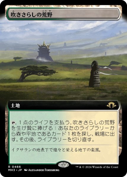 画像1: 【JPN】吹きさらしの荒野/Windswept Heath[MTG_MH3_0466_R] (1)