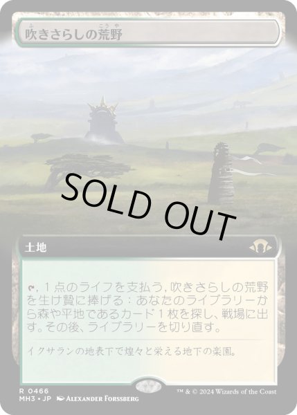 画像1: 【JPN】★Extended-Art Foil★吹きさらしの荒野[MTG_MH3_0466_R] (1)