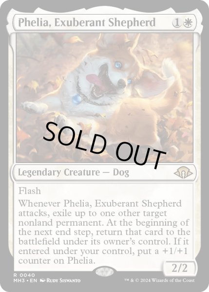 画像1: 【ENG】★Foil★溌剌の牧羊犬、フィリア/Phelia, Exuberant Shepherd[MTG_MH3_0040_R] (1)