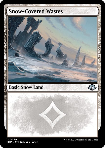 画像1: 【ENG】冠雪の荒地/Snow-Covered Wastes[MTG_MH3_0229_U] (1)