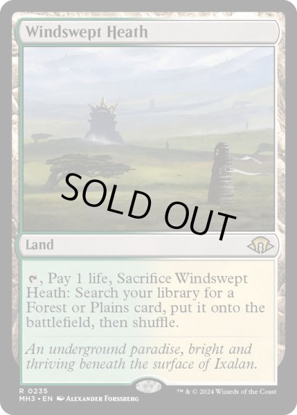 画像1: 【ENG】吹きさらしの荒野/Windswept Heath[MTG_MH3_0235_R] (1)