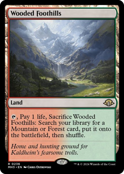 画像1: 【ENG】樹木茂る山麓/Wooded Foothills[MTG_MH3_0236_R] (1)