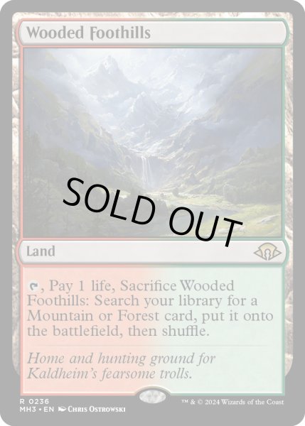 画像1: 【ENG】★Foil★樹木茂る山麓/Wooded Foothills[MTG_MH3_0236_R] (1)