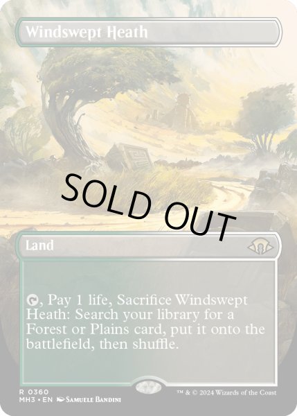 画像1: 【ENG】★Borderless Foil★吹きさらしの荒野/Windswept Heath[MTG_MH3_0360_R] (1)